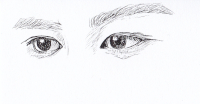 eye studies